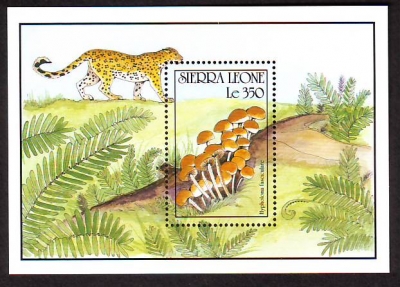 Sierra Leone  1990  1 Block  **  Raubkatze / Pilze