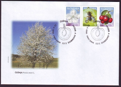 Slowenien  2000  3 Werte auf 1 FDC  Süßkirsche