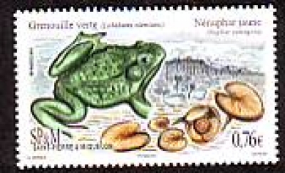 St. Pierre und Miquelon  2015  1 Wert  **  Schreifrosch