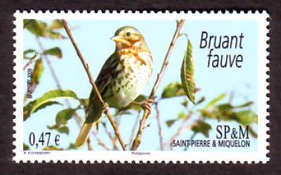 St. Pierre und Miquelon  2009  1 Wert  **  Fuchsammer