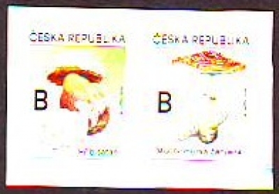 Tschechische Republik  2020  2 Werte  **  ZD  Giftpilze