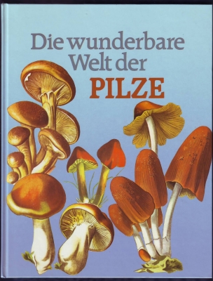 Die wunderbare Welt der Pilze